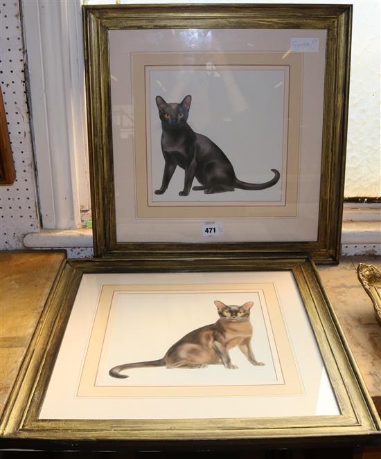 Pair of cat prints